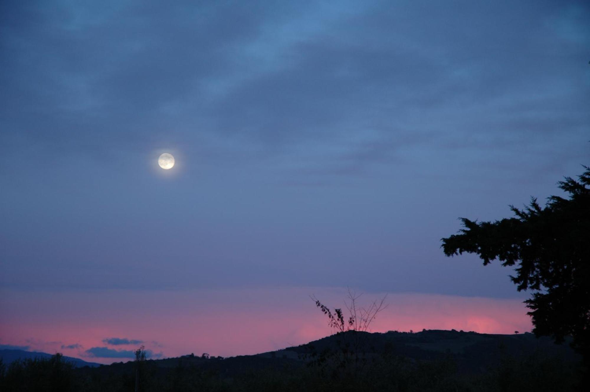 Agriturismo Le Piane Del Milia سوفيريتو المظهر الخارجي الصورة