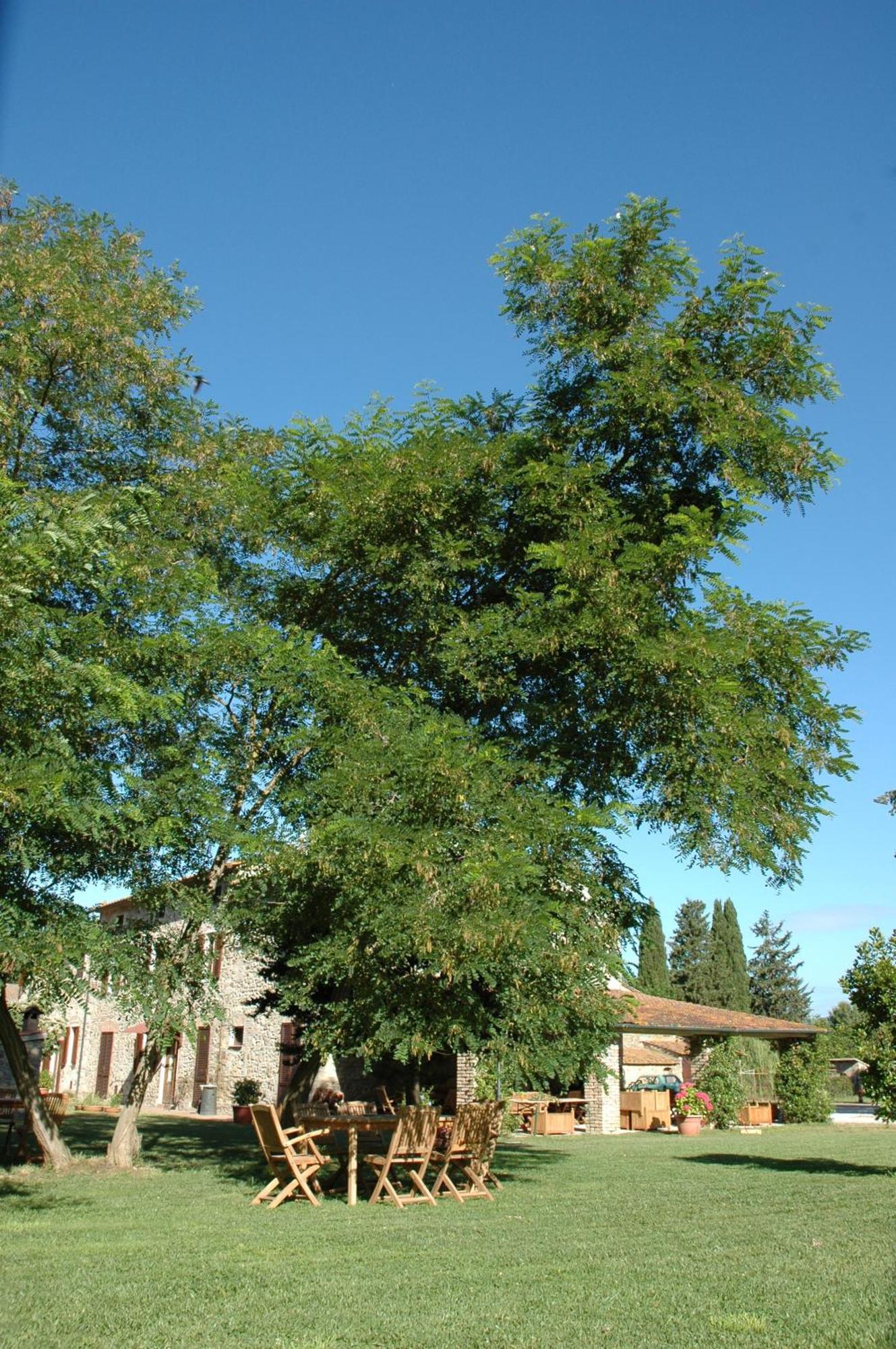 Agriturismo Le Piane Del Milia سوفيريتو المظهر الخارجي الصورة